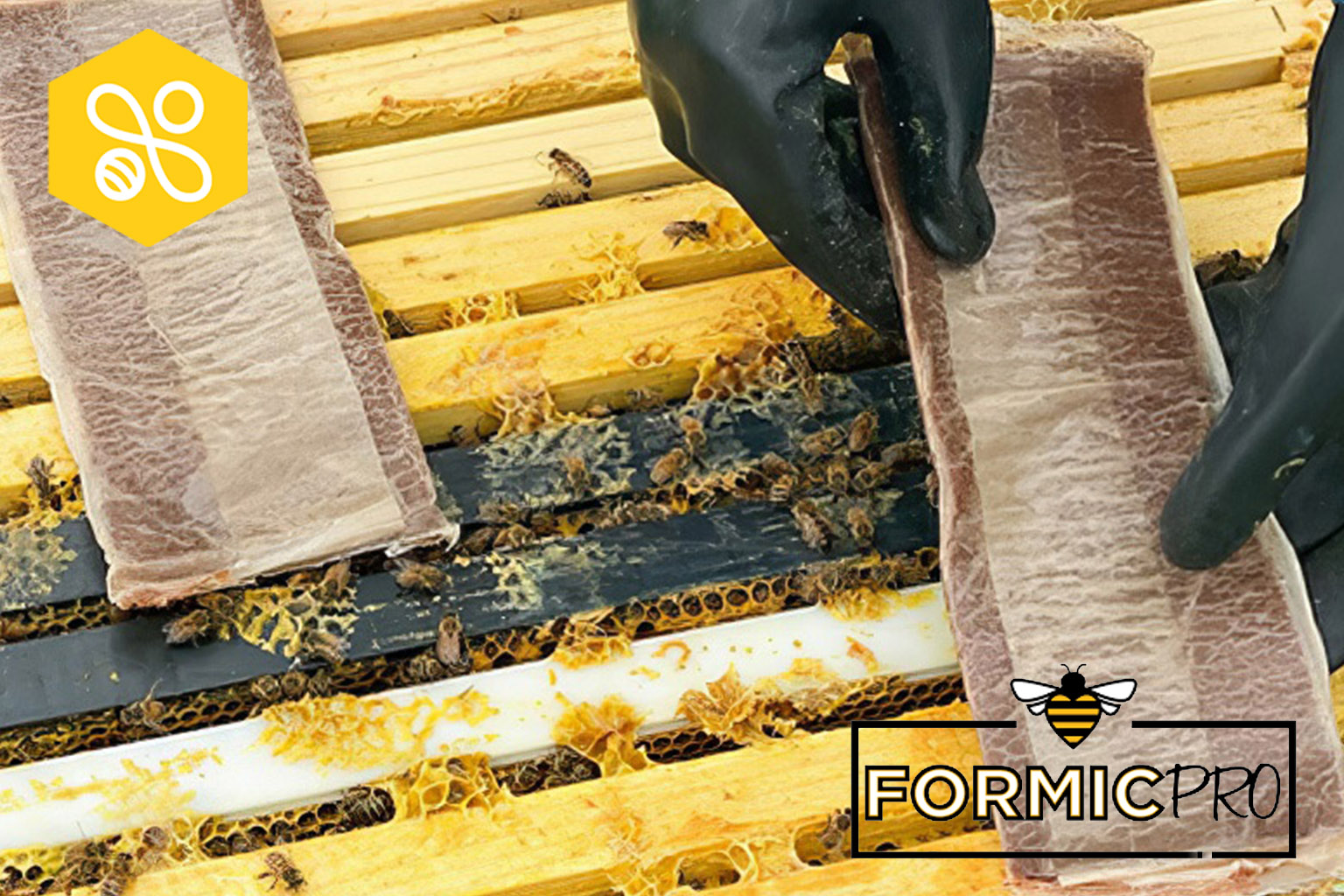 Obrázek Gebrauchsanweisung für das Präparat FormicPro