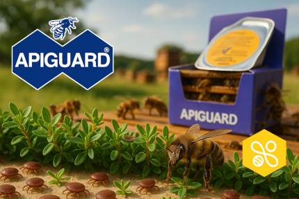 Obrázek Erfahrungen von Imkern mit dem Präparat Apiguard