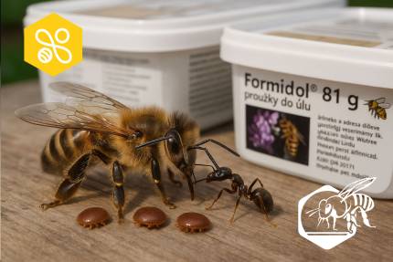 Obrázek Anleitung zur Anwendung der Formidol 81g