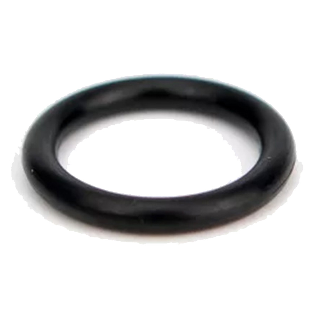 O-Ring für InstantVap 18V Lite