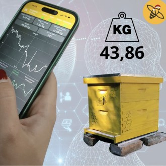 Bienenstockwaage 3M