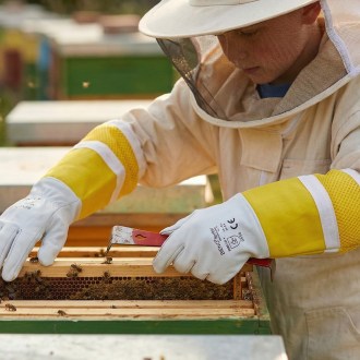 Bieno Leder Handschuhe