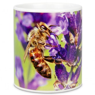 ApiSina Tasse Biene auf lila Blume
