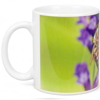 ApiSina Tasse Biene auf lila Blume
