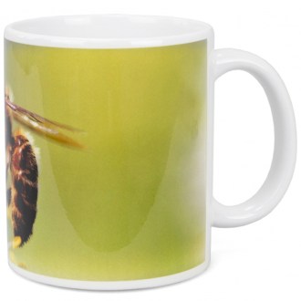 ApiSina Tasse Biene mit weißer Blume