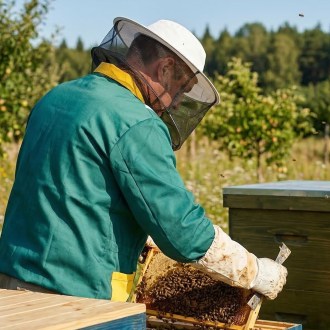 Imkerjacke mit Imkerhut und Reißverschluss - grün - 52-60