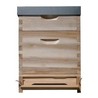 Lorenzbeute Dadant US 1 x(285) + 1x2/3(159) - 10 R. mit Varroaboden