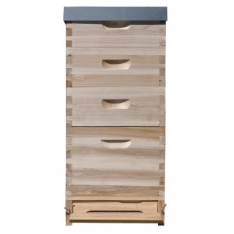 Lorenzbeute Dadant US 1 x(285) + 3x2/3(159) - 10 R. mit Varroaboden