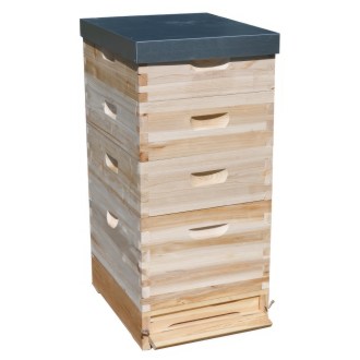 Lorenzbeute Dadant US 1 x(285) + 3x2/3(159) - 10 R. mit Varroaboden