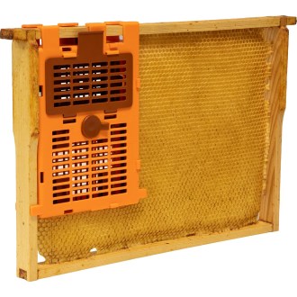 IzoVar - Universaler Isolator für die Bienenkönigin