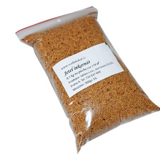 Inkarnierter Klee Samen für Bienen 0,5 kg