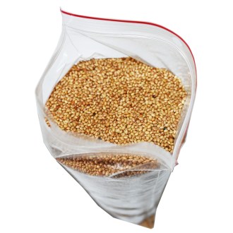 Inkarnatklee (Samen / Bienenweide) - 0,5 kg