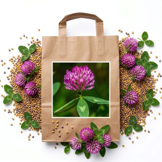 Wiesenklee SLAVIN - 1 kg