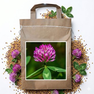 Wiesenklee SLAVIN - 1 kg