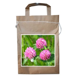 Wiesenklee VENDELIN - 1 kg