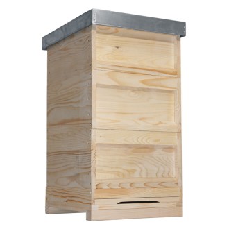 Deutsch Normalmaß 3 x DN Ganzzarge - 10 R. - Dr. Liebig