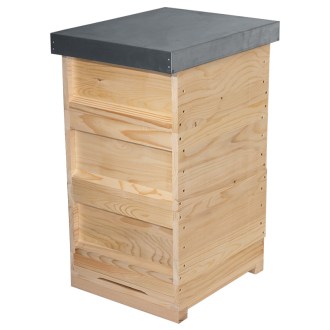 Deutsch Normalmaß 3 x DN Ganzzarge - 10 R. - Dr. Liebig