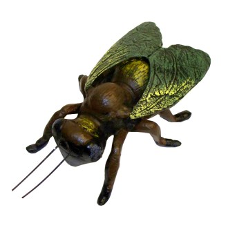 Bieno Casa Dekobiene bunt