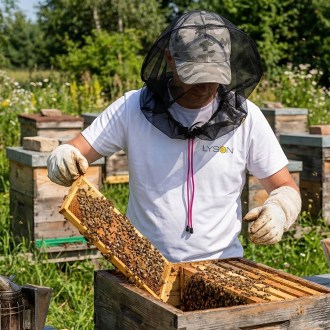 Schutzschleier für den Kopf - Lyson