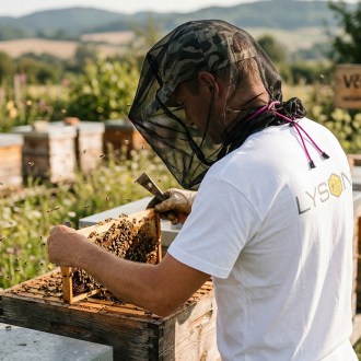 Schutzschleier für den Kopf - Lyson