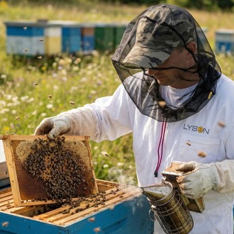 Schutzschleier für den Kopf - Lyson