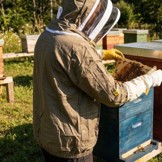 Imkerjacke von  Elegant  Bee - S-XXXXL