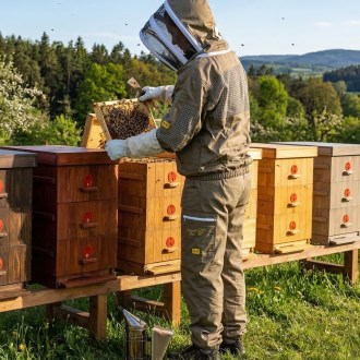 Imkerjacke mit Teilbelüftung Elegant Bee - S-XXXXL