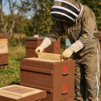 Imkeranzug mit Teilbelüftung Elegant Bee - S-XXXXL
