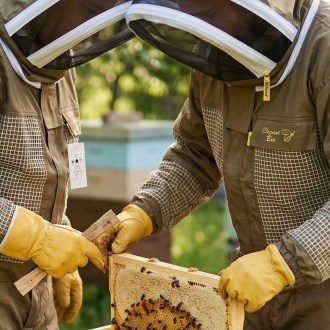 Imkeranzug mit Teilbelüftung Elegant Bee - S-XXXXL
