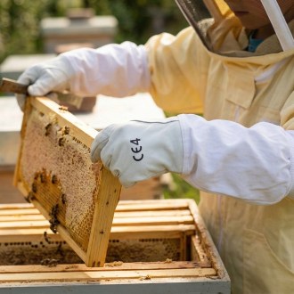 Kinder Lederhandschuhe