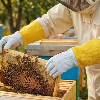 Lederhandschuhe - Ziege - mit Belüftung - S-XXL