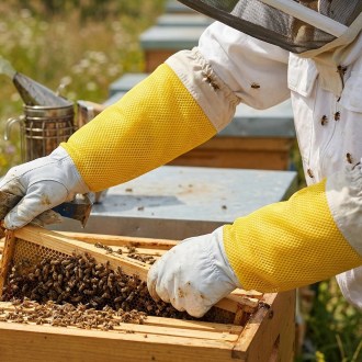 Lederhandschuhe - Ziege - mit Belüftung - S-XXL