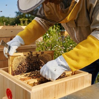 Lederhandschuhe - Ziege - mit Belüftung - S-XXL