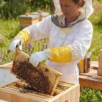 Lederhandschuhe - Ziege - mit Belüftung - S-XXL