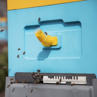 Schwarmanzeiger 10 Stück Lysoň