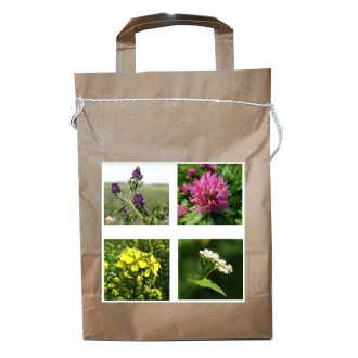 Nektarspendermischung für mehrjährige Bienen - 1 kg