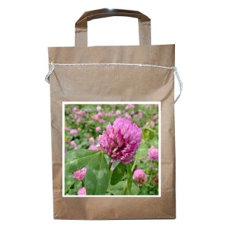 Wiesenklee SLAVOJ 1 kg