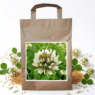 Kriechender Klee JURA 1 kg