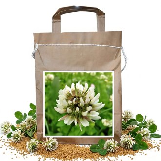 Kriechender Klee JURA 1 kg