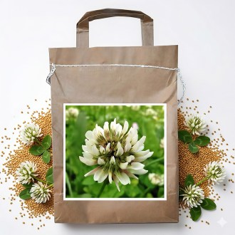 Kriechender Klee JURA 1 kg