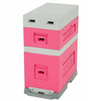 6 Rähmchen Ablegerbeute mit Falzen für Dadant Blatt