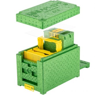 Begattungskästchen MINI API EPP - grün Lysoň