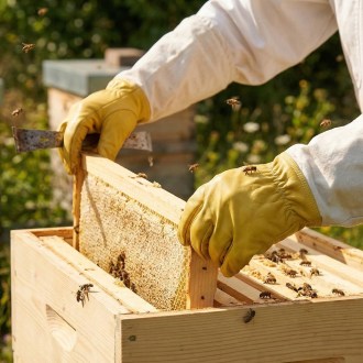 Imprägniertes Lederhandschuhe - S-XXL